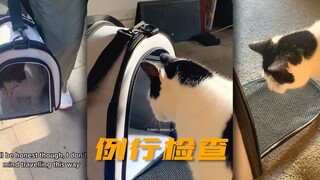 被小零食骗去做检查的一天