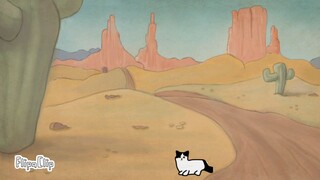 kucing