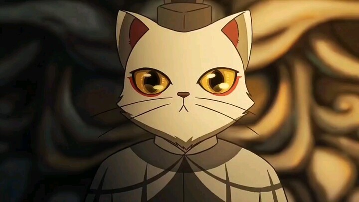 I am a cat lover