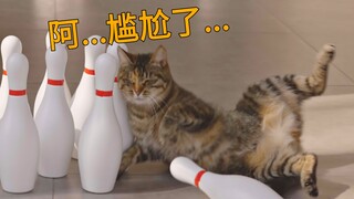 造反啦！大胆铲屎官居然把小猫咪当成保龄球打？！