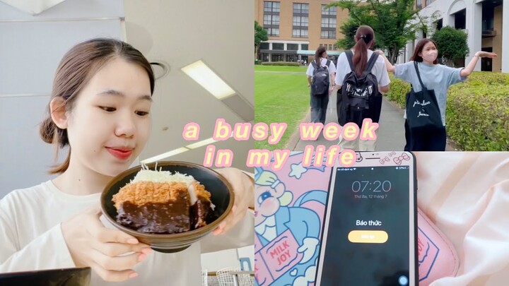 🐳 MỘT TUẦN BẬN RỘN CỦA SINH VIÊN ĐẠI HỌC Ở NHẬT VLOG / a busy week in my uni life🍳 l Gokku Egao