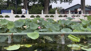Beijing summer palace