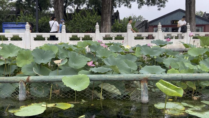 Beijing summer palace