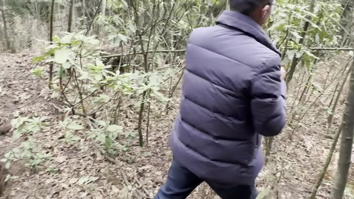 Regarding the dangerous rock mass in Liupanshui, temporary evacuation measures have been activated; 