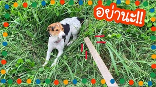 โลกของแสนดี ตอน จะฟาดให้หลังหัก!