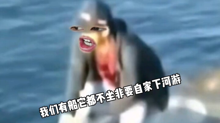 Các bạn cứ tự nhiên, tôi xuống trước làm cái tổ đã!