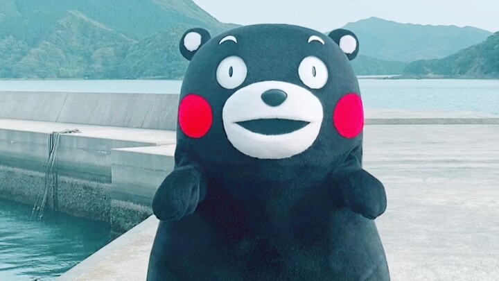 Kumamon Super Express "My Buddy"