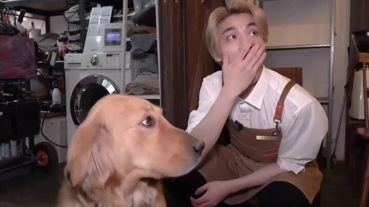 【Enhypen】เซิ่นจ่ายหลุนถูกสุนัขหัวเราะเยาะ