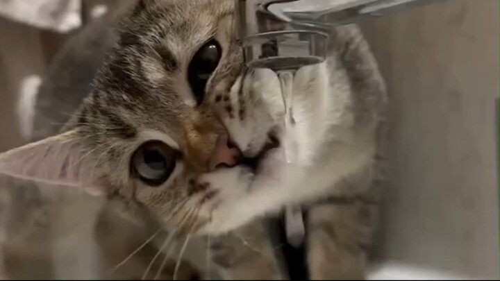 ME DRINKING FROM THE TAP