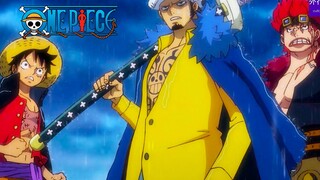 海贼王专题#1159: 坚持到最后的超新星王牌，善后的罗船长！