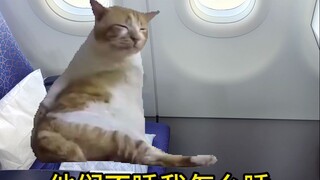 飞机起飞前空姐在想什么？？？