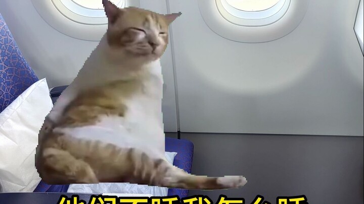 What are flight attendants thinking right before the plane takes off???