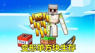 出生在单方块世界，但我可以变形，如何生存下去Ep.2#我的世界