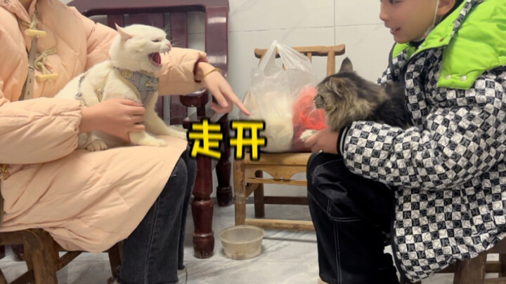 Ừm, cả hai bên đều có phụ huynh đứng sau hỗ trợ.