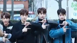 Bermuda Yu | Anjing kecil yang baru debut