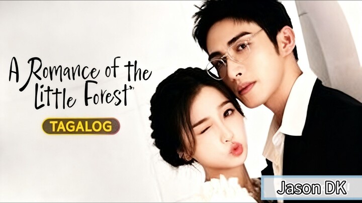 A Romance Of The Little Forest Episode 11 [Tagalog Dub]