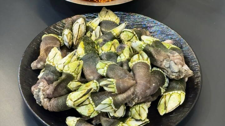 Orang Manchuria pertama kali mencoba gooseneck barnacle! Setelah menunggu lama akhirnya bisa mencici