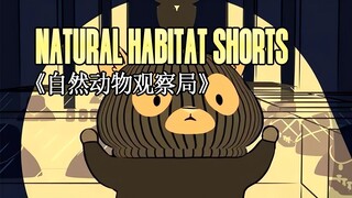 230421《自然动物观察局》- Natural Habitat Shorts