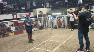 sqc saturday fight