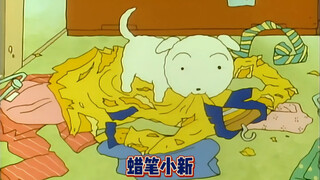 小白进入野原家全过程