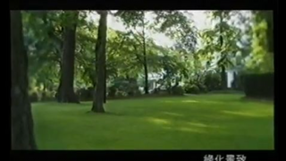 [香港經典廣告](2007)太子滙 PRINCE RITZ