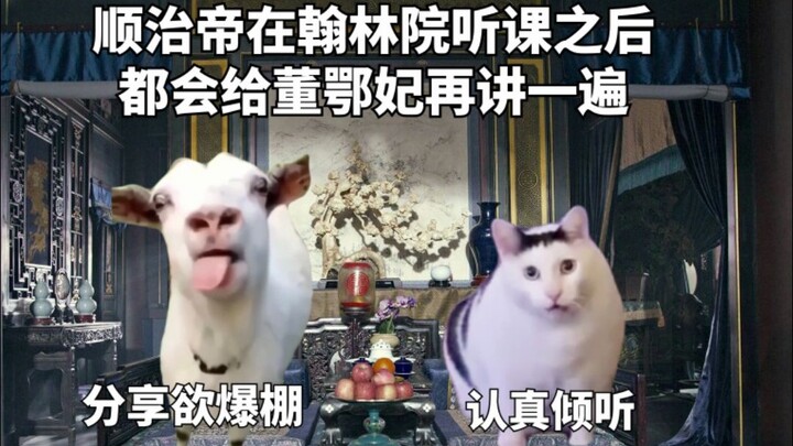 绝世宠妃！用猫meme讲述历史上董鄂妃的一生