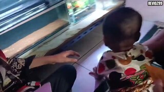 Ikan hias dirumah