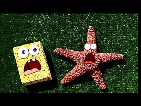 YTP Spongebob Squarepanic - Reupload