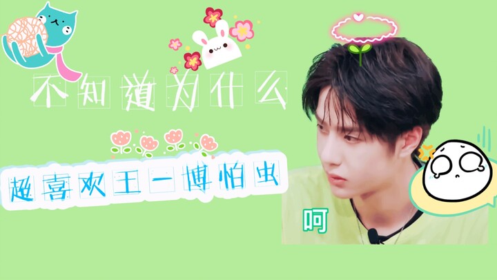 【Wang Yibo】Ngomong paling jujur ala cowok, tapi berbuat yang paling imut dan menggemaskan!