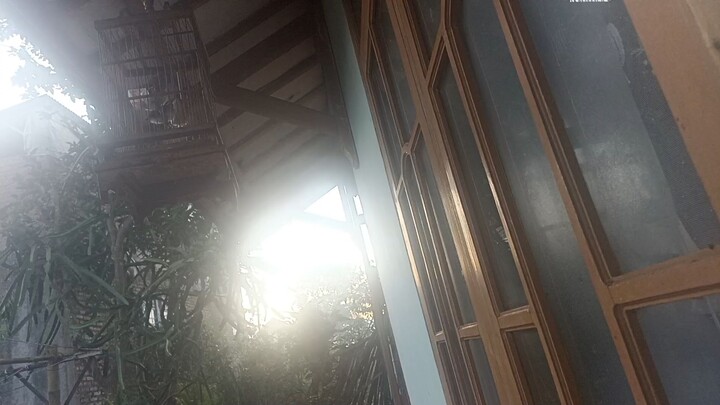 pemula lagi