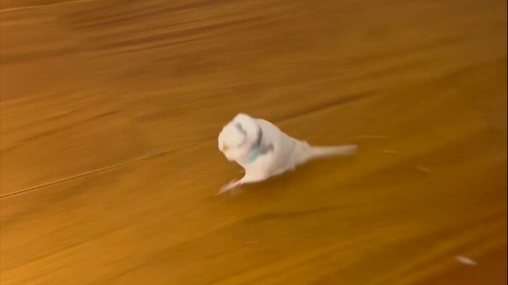 เงิน 30 หยวนของฉันกำลังฟาดฟันกับเงิน 20,000 หยวนของฉัน