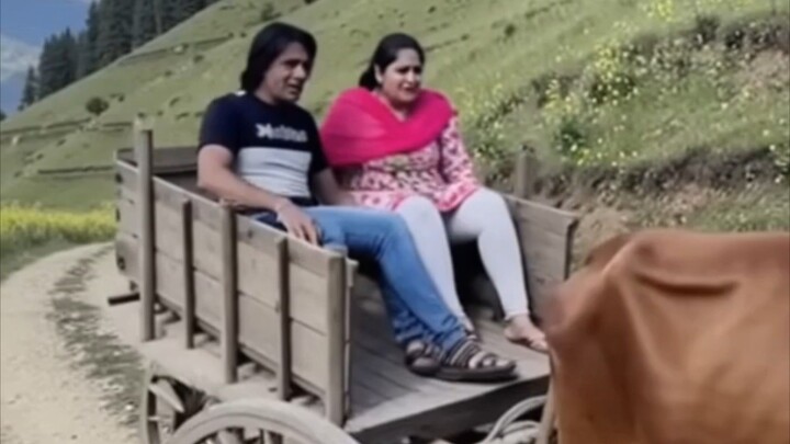 entertainment video