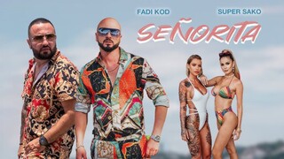 Super Sako Dance With You DJ Sammy Flash Remix Official Music Video