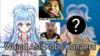 Wujud Asli Kobo Kanaeru