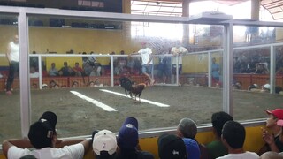 1st Fight Win
