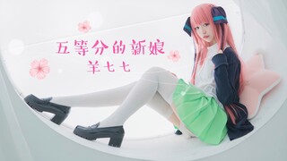 【羊七七】五等分的新娘op 二乃天外飞仙！【二乃cos】【星辰】