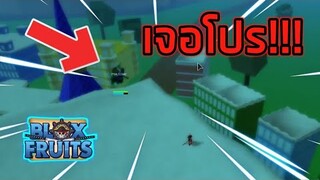 Roblox : Blox Fruits เมื่อผมโดนพลังที่เหนือกว่าเทพเจ้า!!