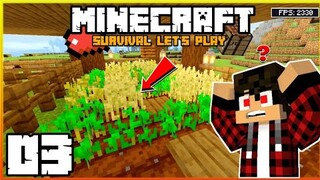 Magtanim Ay Di Biro! | Minecraft Survival Let's Play | Episode 03