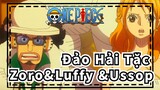 Đảo Hải Tặc
Zoro&Luffy &Ussop