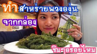 สาหร่ายพวงองุ่น จากกล่อง 1000บาท  วิธีทำ และ ชิมๆๆ   Sea Grapes  25/11/2018