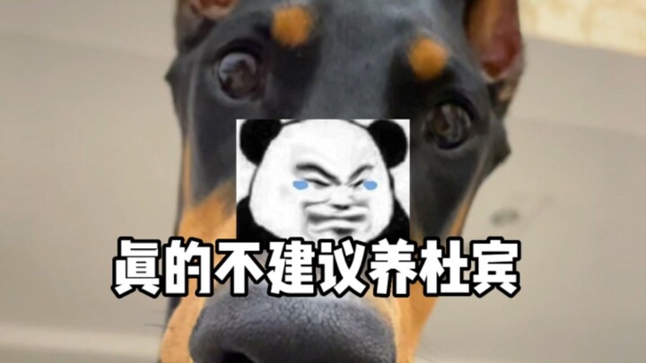 Bây giờ trả hàng còn kịp không?