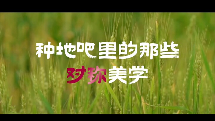 种地吧里的那些对称美学