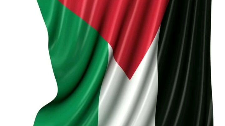 free palestina