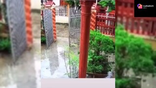 Cười lộn ruột với mấy thánh hài phần 3 #haihuoc
