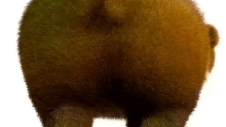 This content may be disturbing; please watch with caution. 3