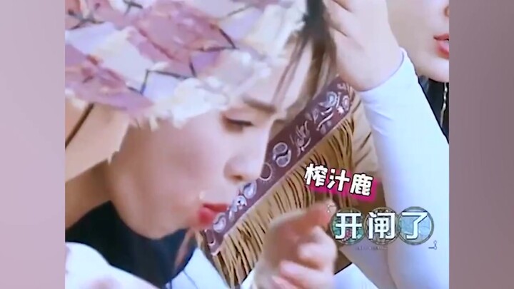 Châu Thâm gặp Bạch Lộc, một trong hai nhất định phải phát cuồng chứ? Hai người đúng là đôi bạn cùng 