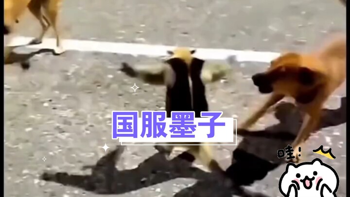 ม่อจื่อเซิร์ฟเวอร์จีน