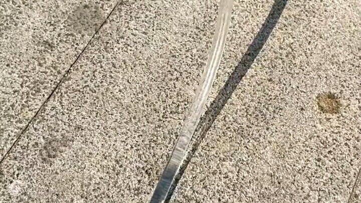 小黑人鱼历险记｜国伟你别太离谱😂