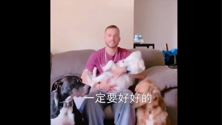 Perhaps the dog gave up a little of itself just to meet an owner like this.