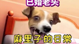 [Hot Content] A kuso guest who wanted to call Mariko "Dad" just by spending 10,000 yen while playing